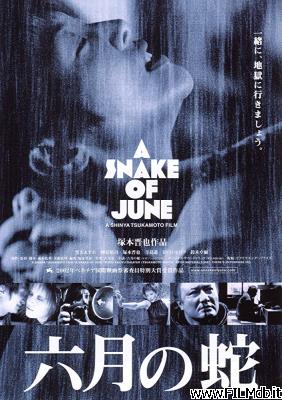 Locandina del film A Snake of June